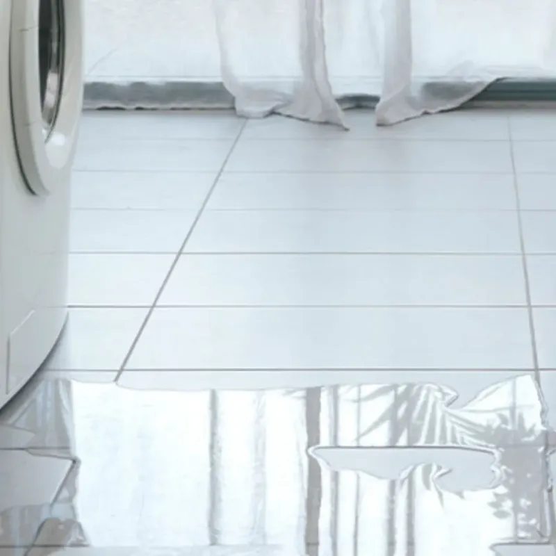 Appliance Leak Cleanup in Colorado City, TX