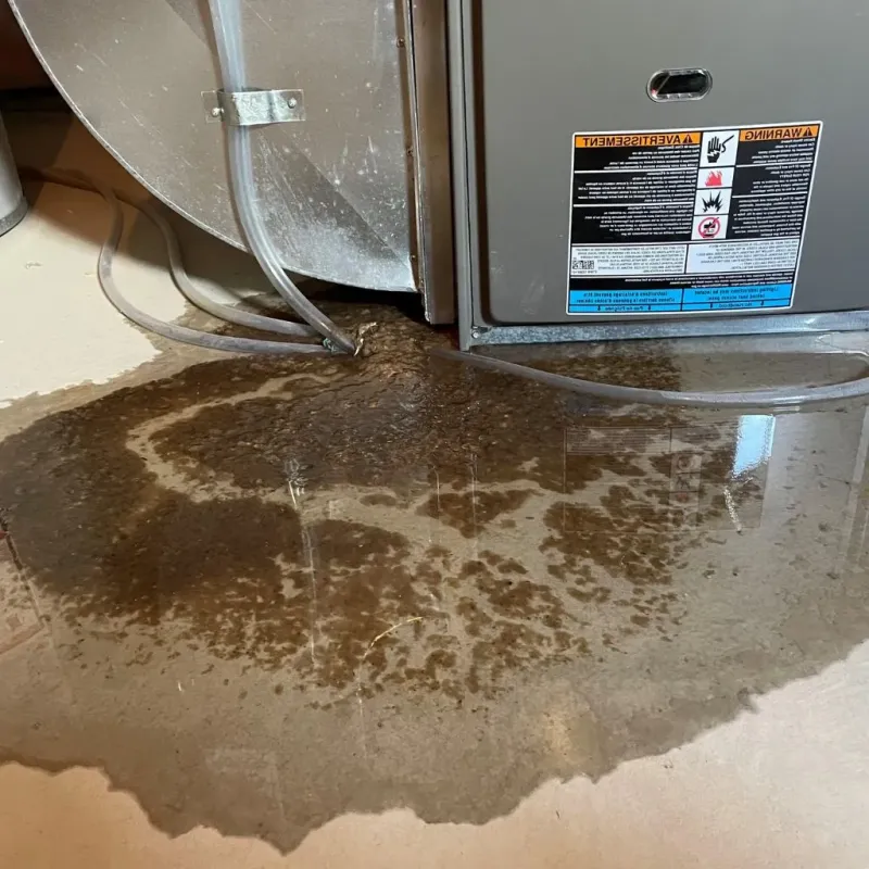 Pipe Burst and Leak Restoration in Colorado City, TX