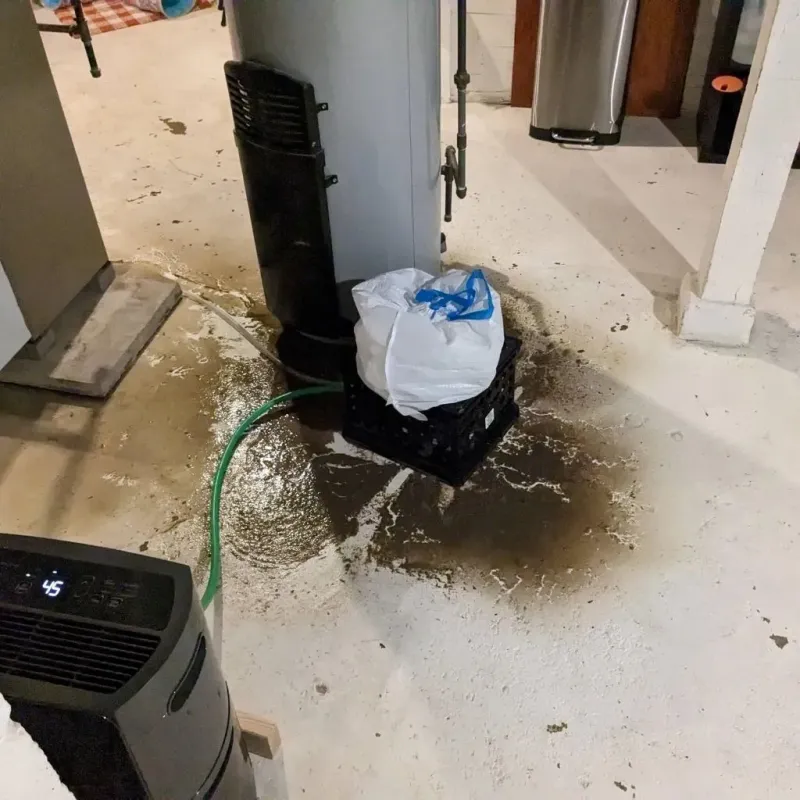 Sewage Backup Cleanup Service in Colorado City, TX